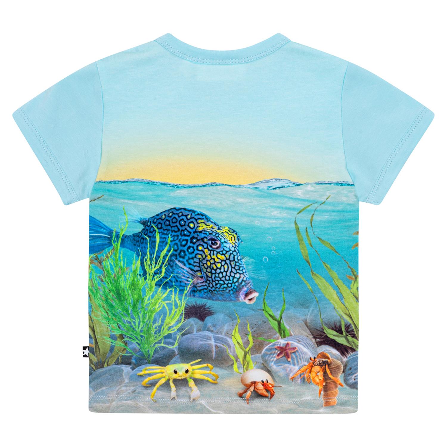 MOLO Easy T- Shirt,Baby Turkis