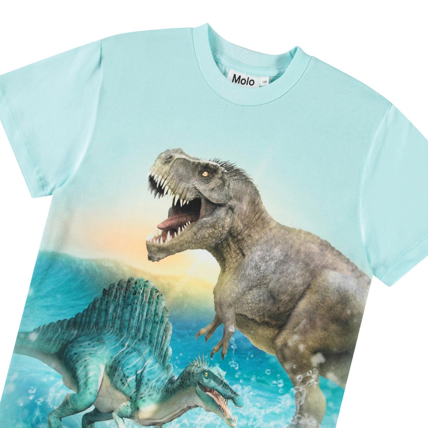 MOLO 4-12ÅR Roxo T-skjorte,Dino Turkis
