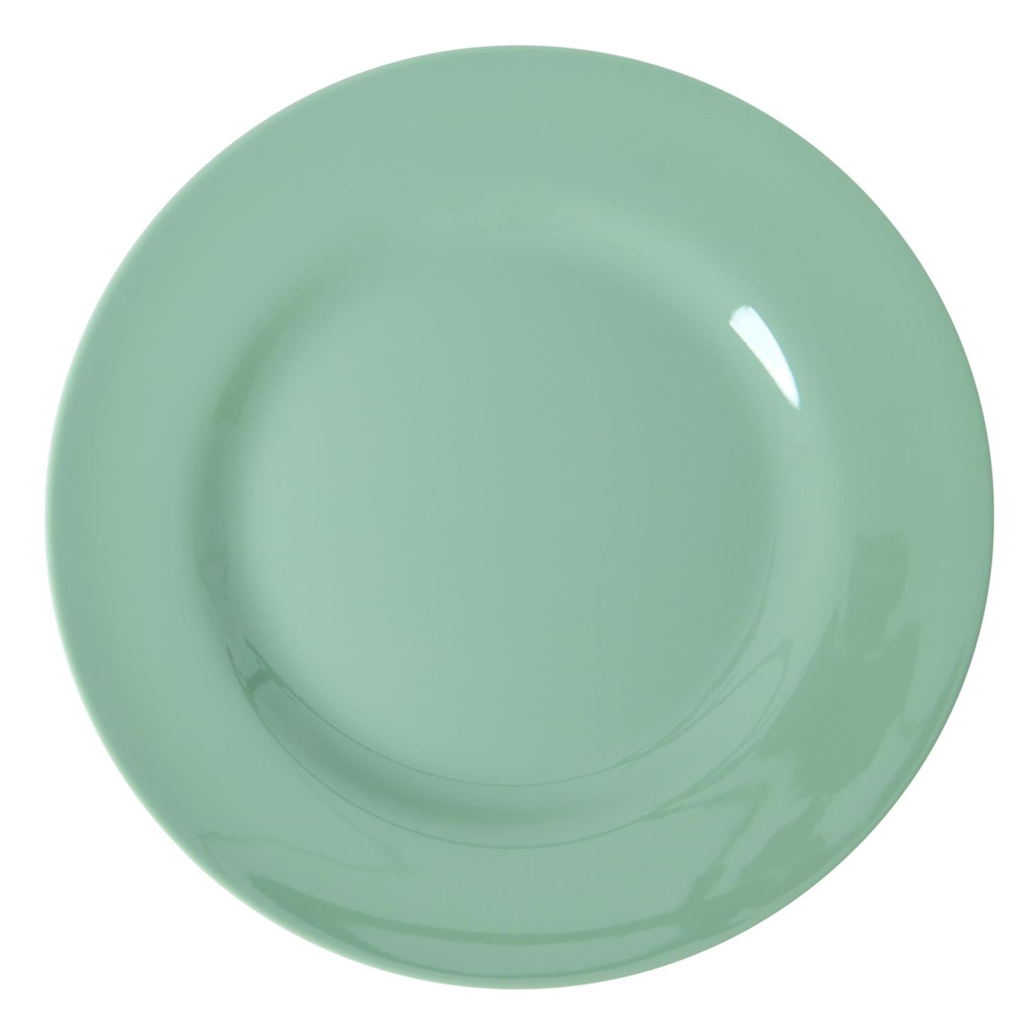 RICE Melamine Dinner Plates,6pk.