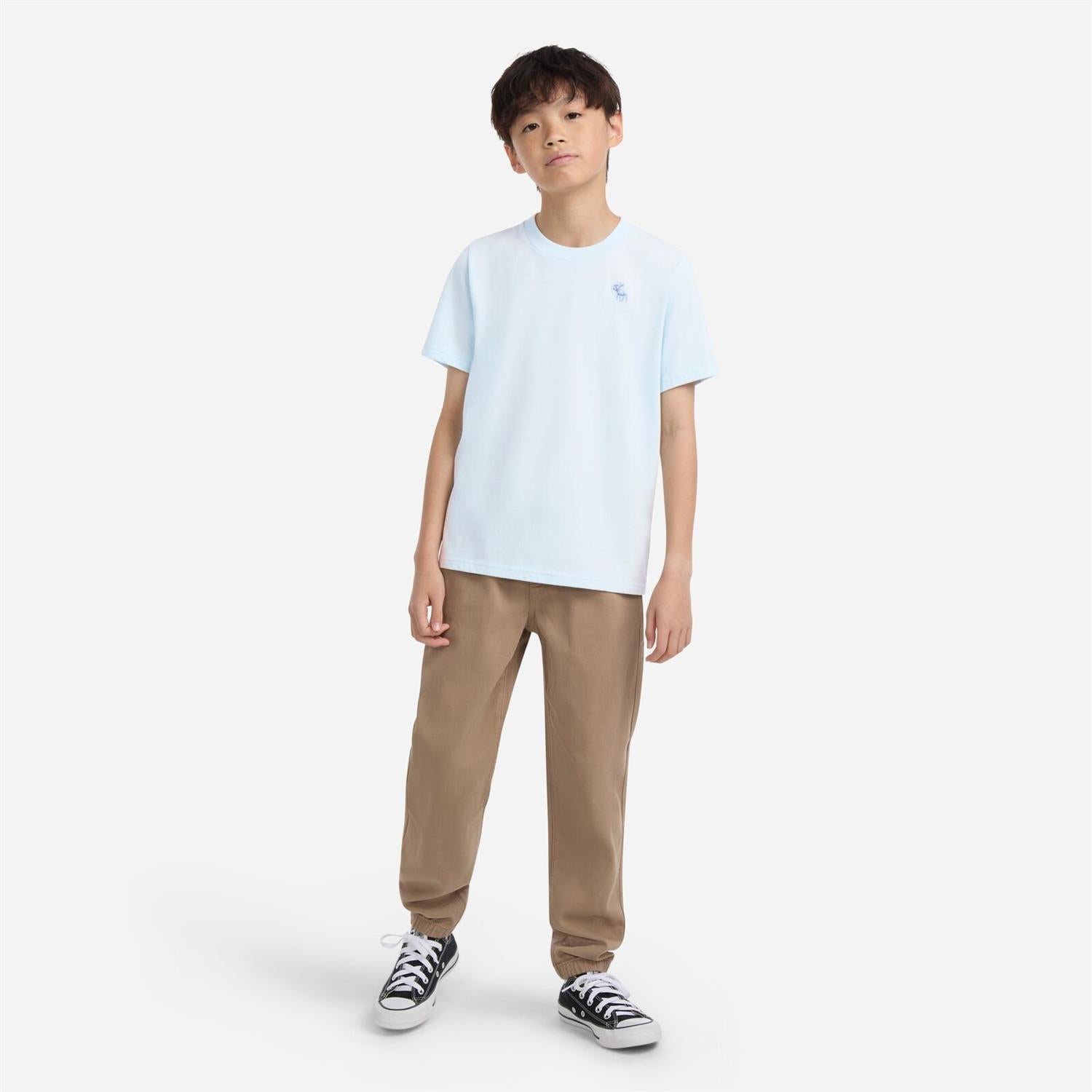 ABERCROMBIE & FITCH T-skjorte Lyseblå