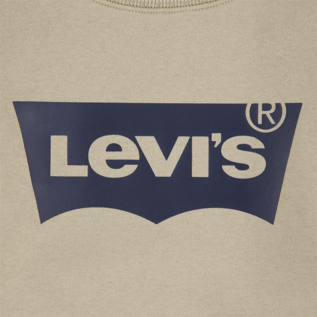 LEVIS 4-14ÅR Batwing Genser Beige