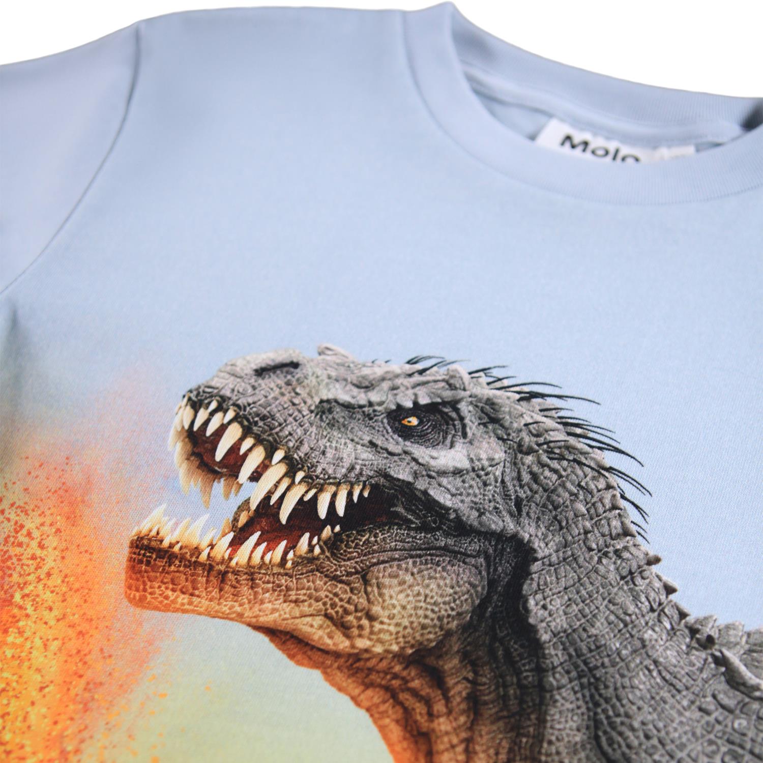 MOLO 4-12ÅR Roxo T-skjorte,Dino Lyseblå