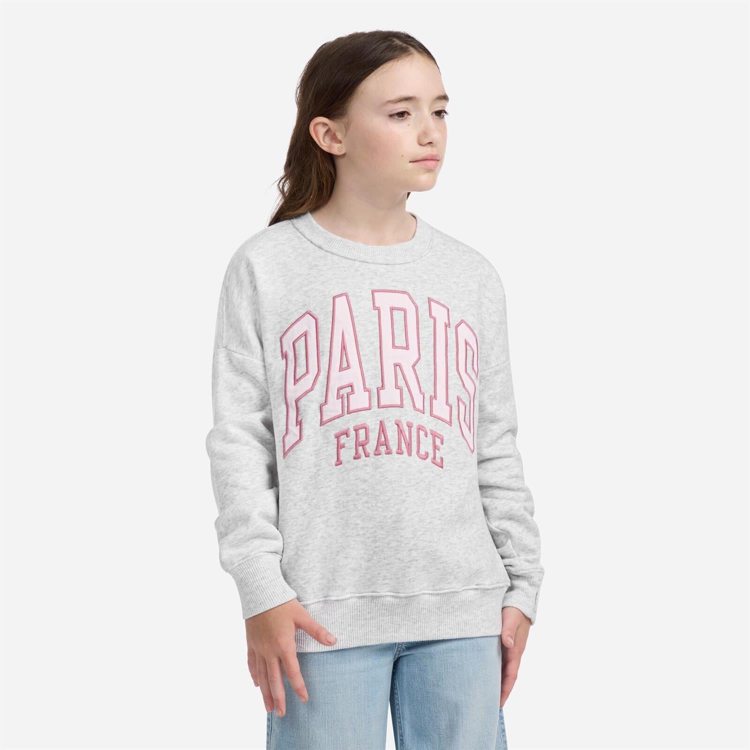 ABERCROMBIE & FITCH Genser Paris Lys Grå Melert