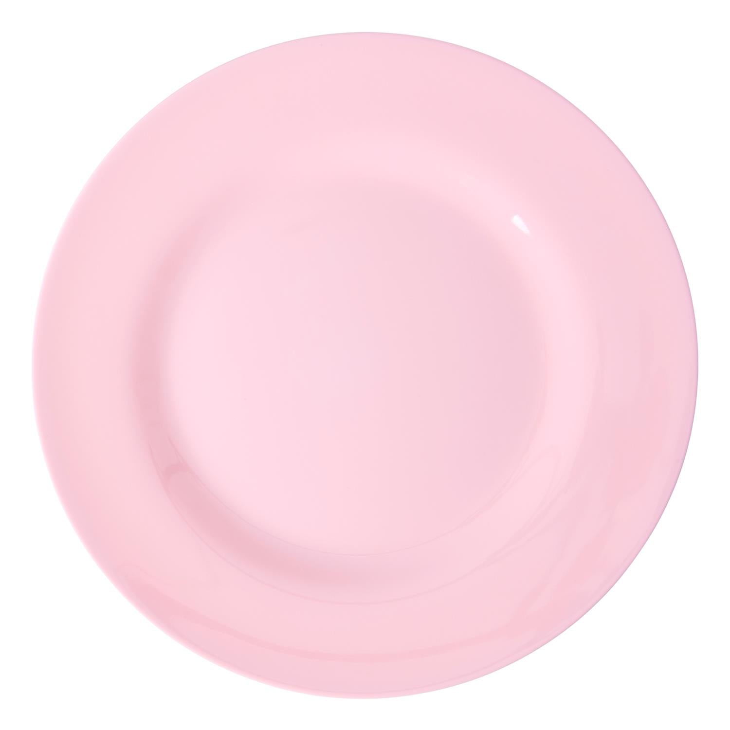 RICE Melamine Dinner Plates,6pk.