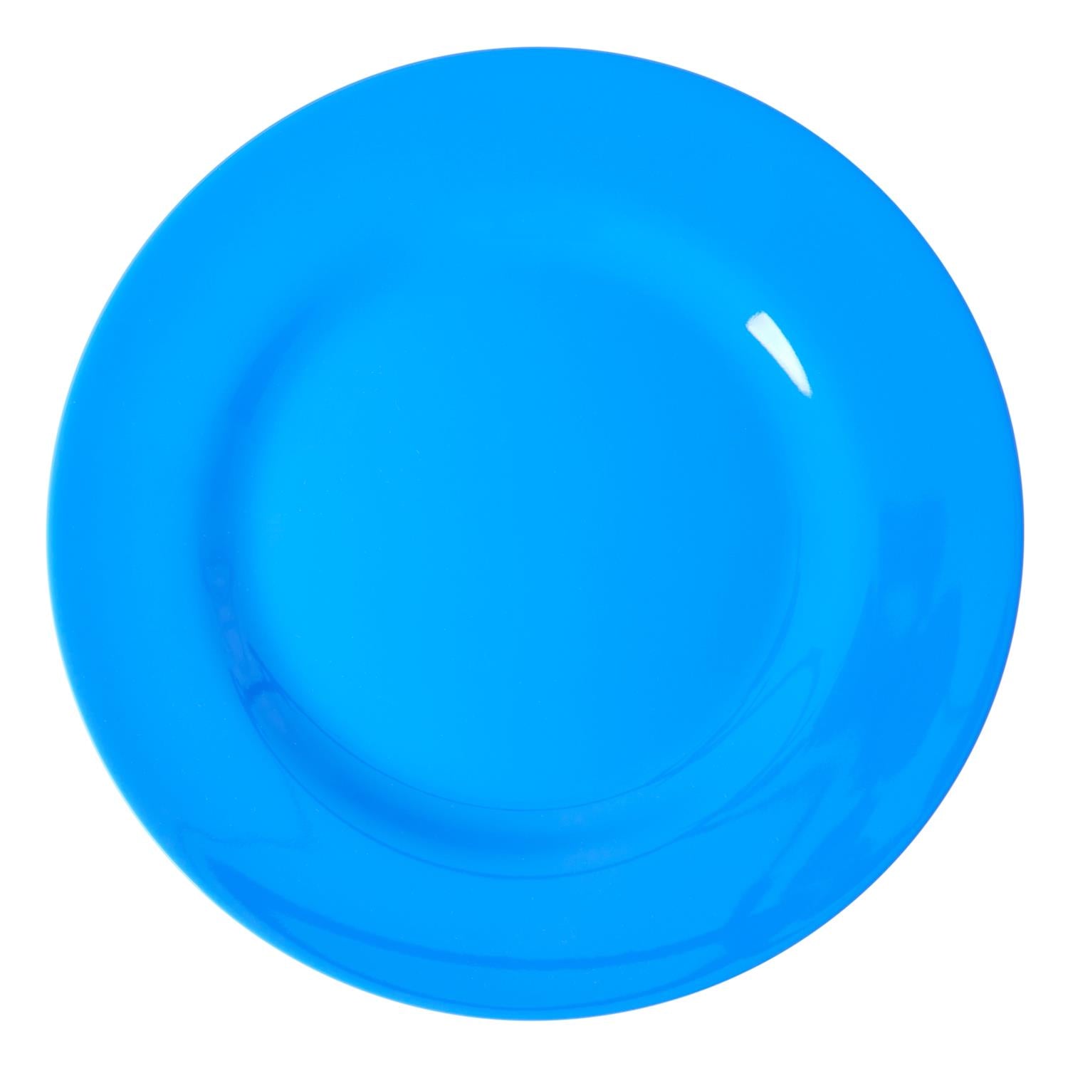 RICE Melamine Dinner Plates,6pk.