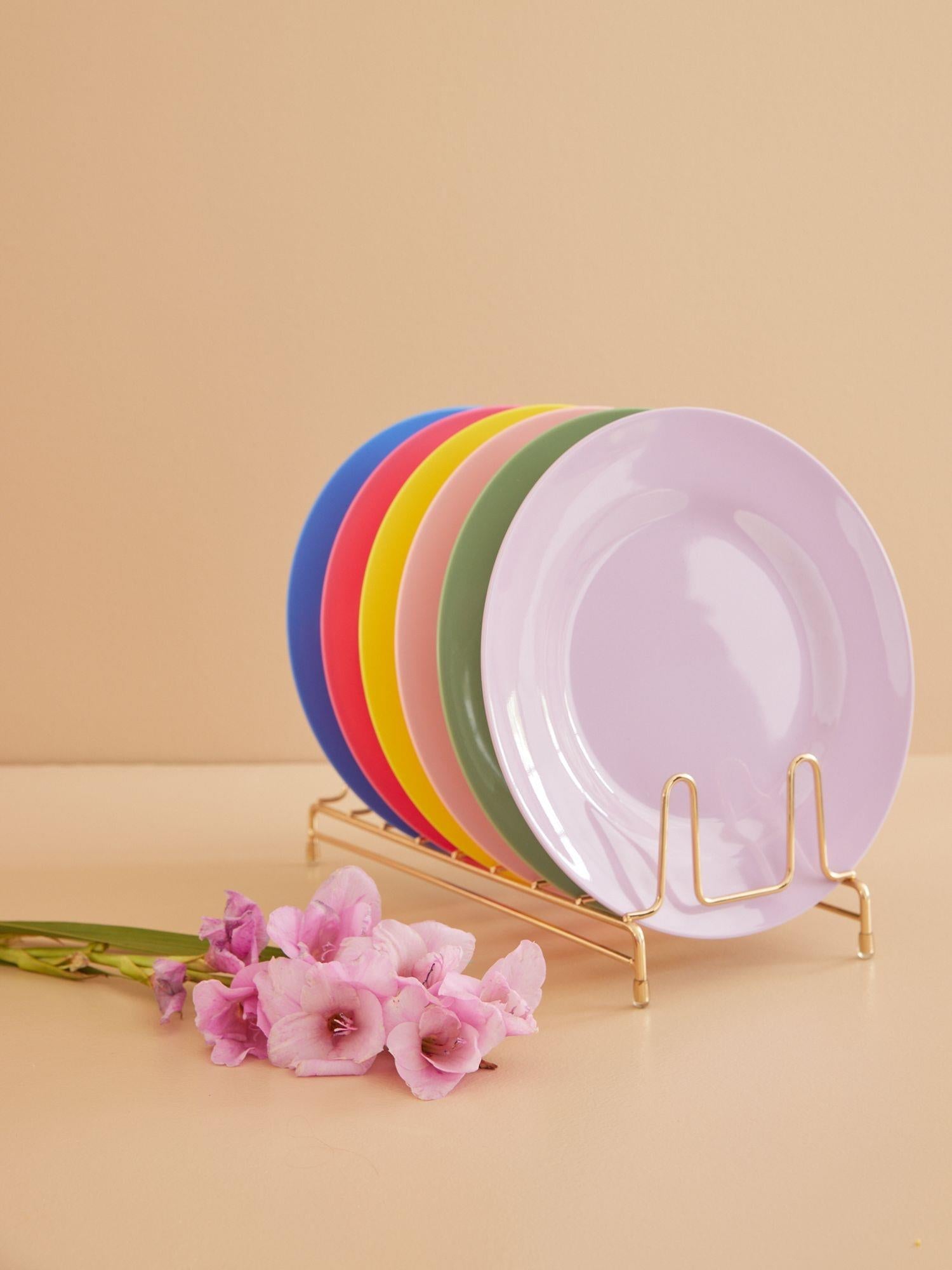 RICE Melamine Dinner Plates,6pk.
