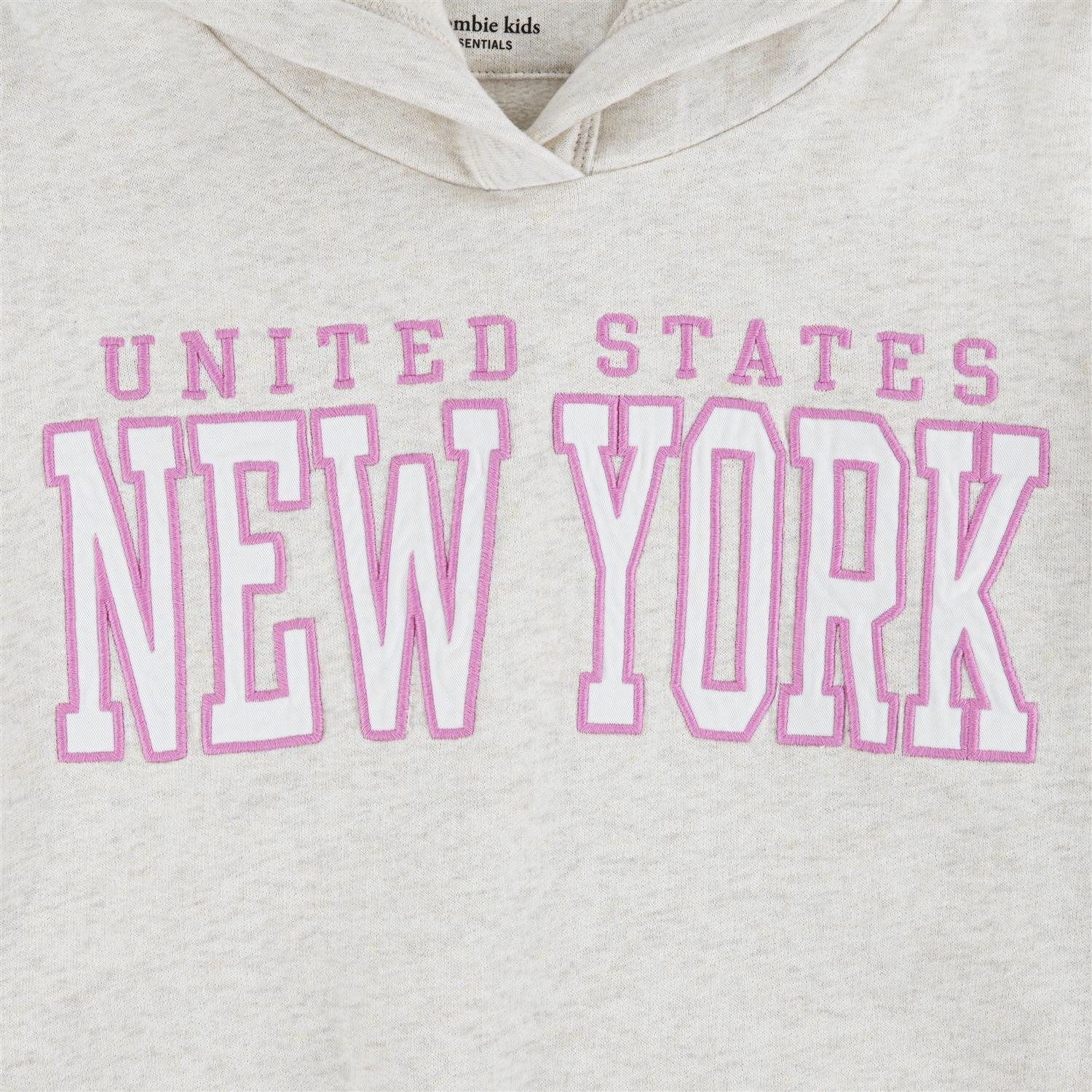 ABERCROMBIE & FITCH Hettegenser New York Beige Melert