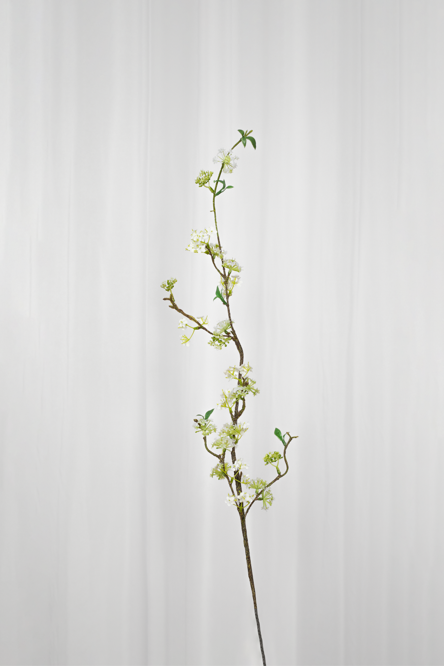 SPECKTRUM Fontanesia white branch kunstig blomst