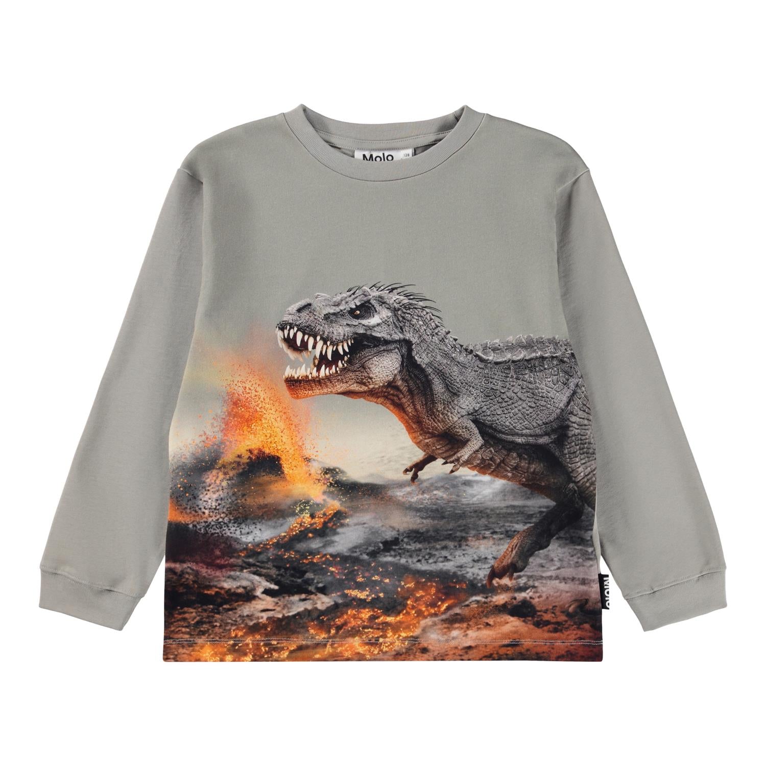 MOLO 4-12ÅR Rube Genser,Dinosaur Grå