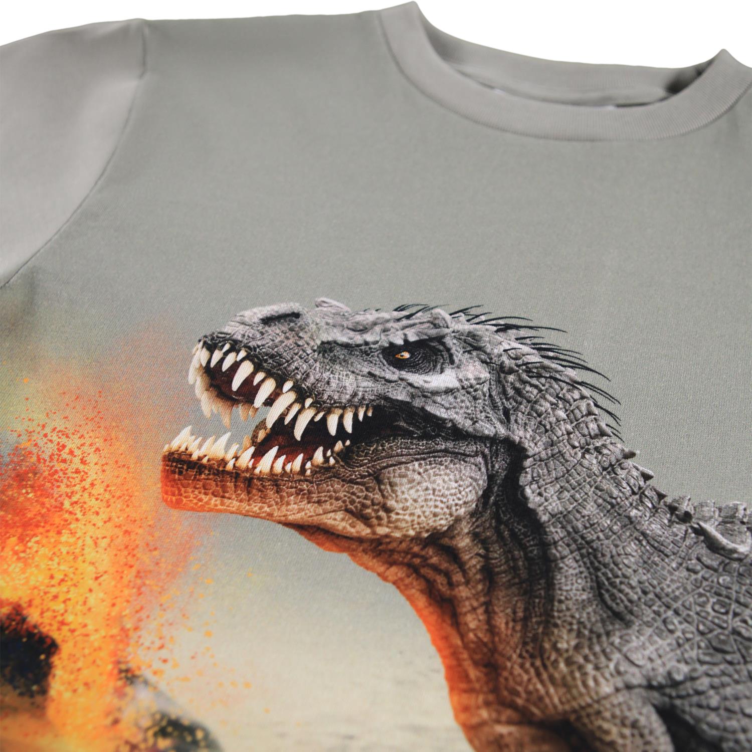 MOLO 4-12ÅR Rube Genser,Dinosaur Grå