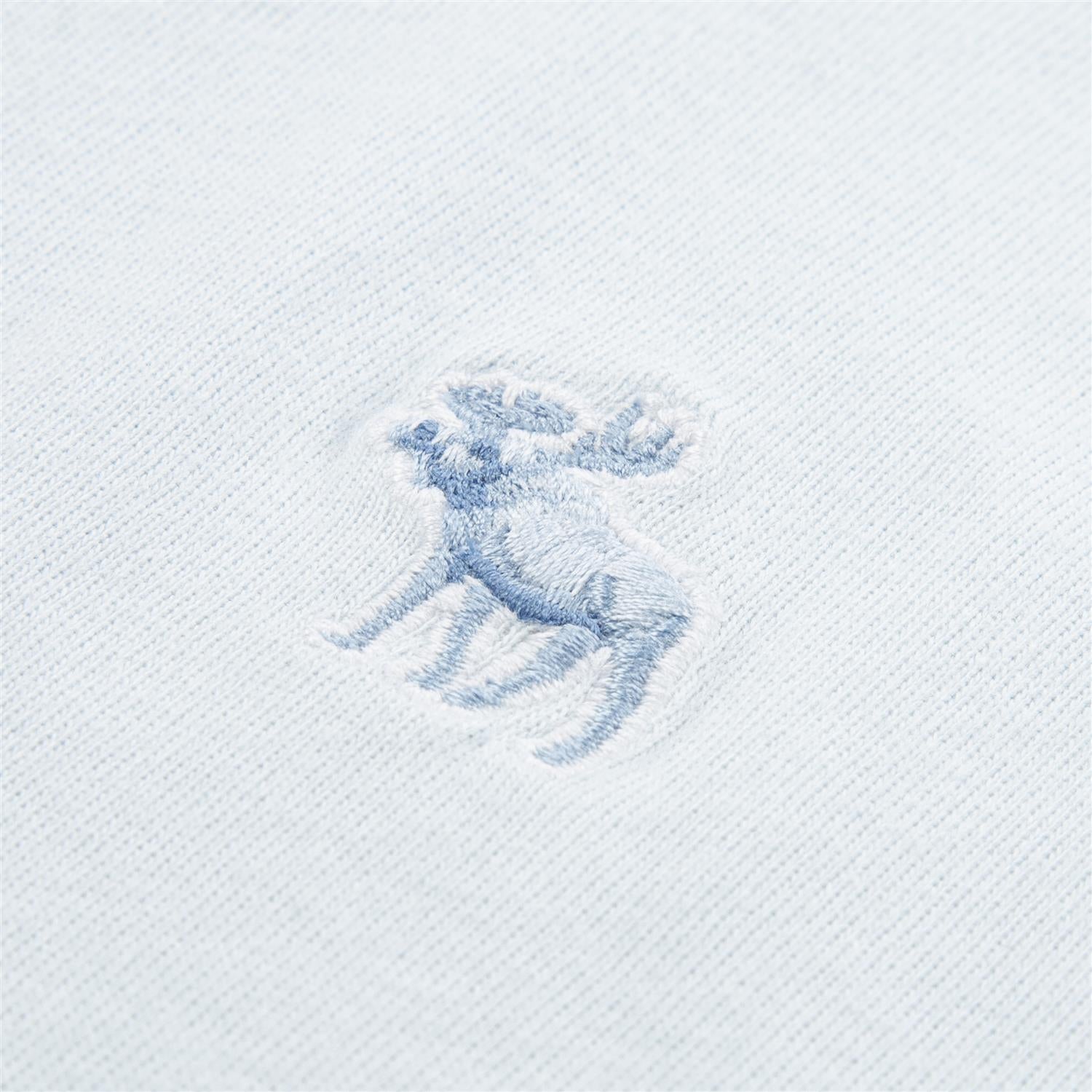 ABERCROMBIE & FITCH T-skjorte Lyseblå