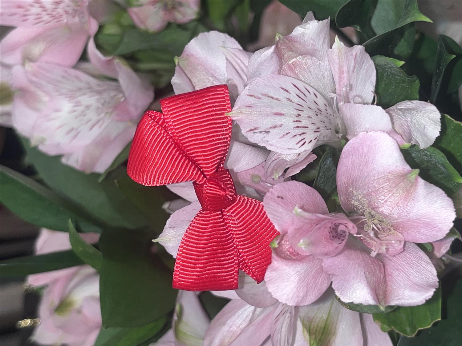 PRINSESSEFIN ASTRID baby hårsløyfe, S 4cm Red