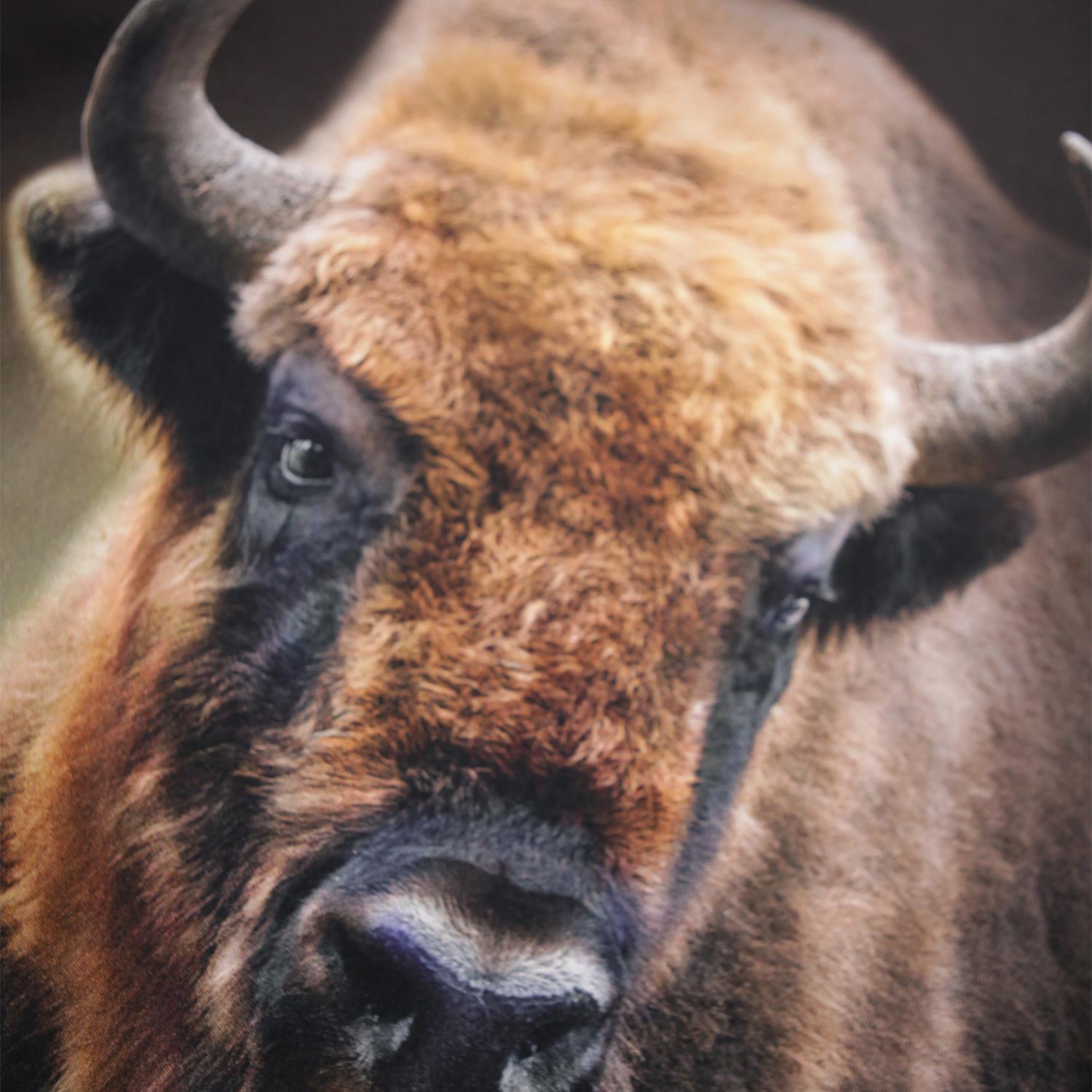 MOLO 4-12ÅR Rube Genser,Bison Brun