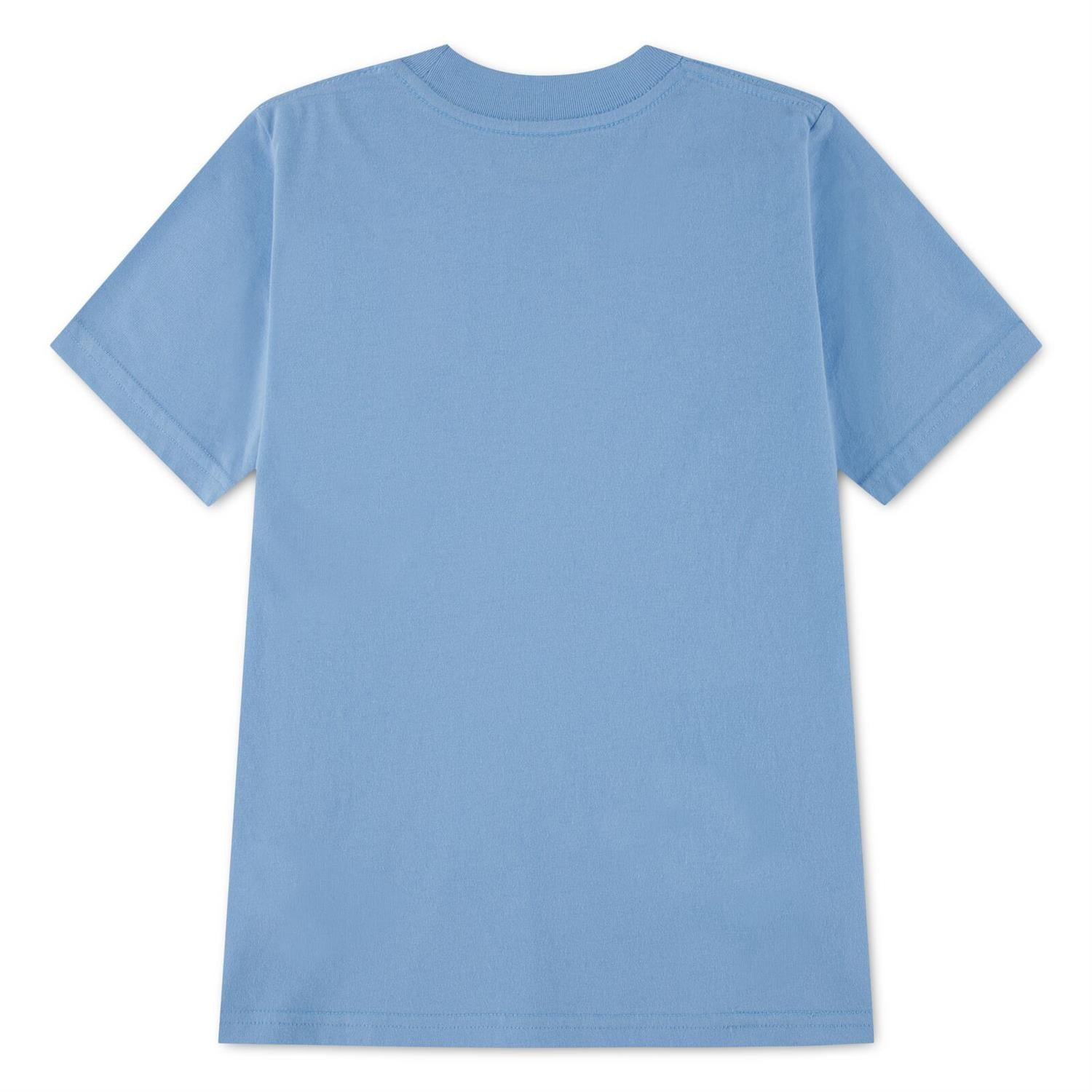 ABERCROMBIE & FITCH T-skjorte Lyseblå