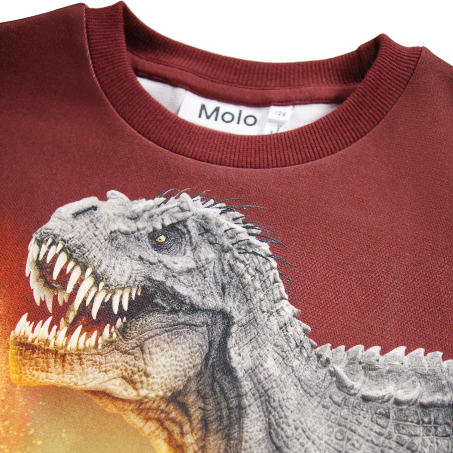 MOLO 4-12ÅR Miksi,Dino Landscape