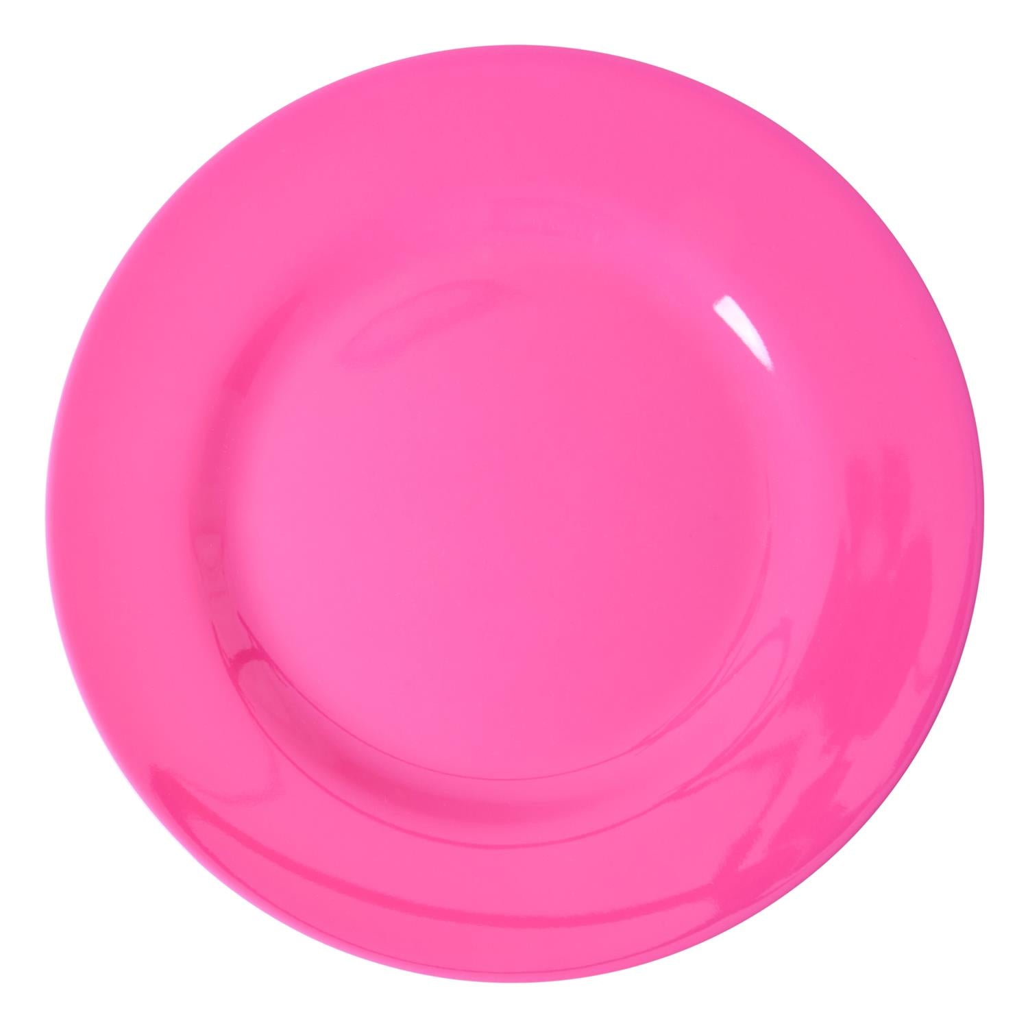 RICE Melamine Dinner Plates,6pk.