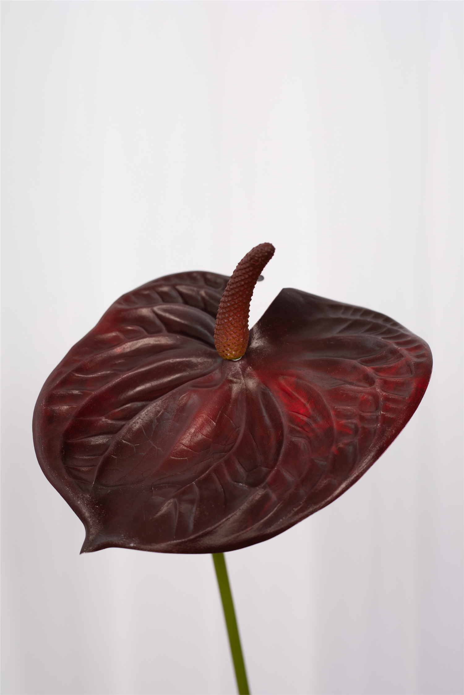 SPECKTRUM Anthurium Burgundy kunstig blomst - Farmor Ingvarda
