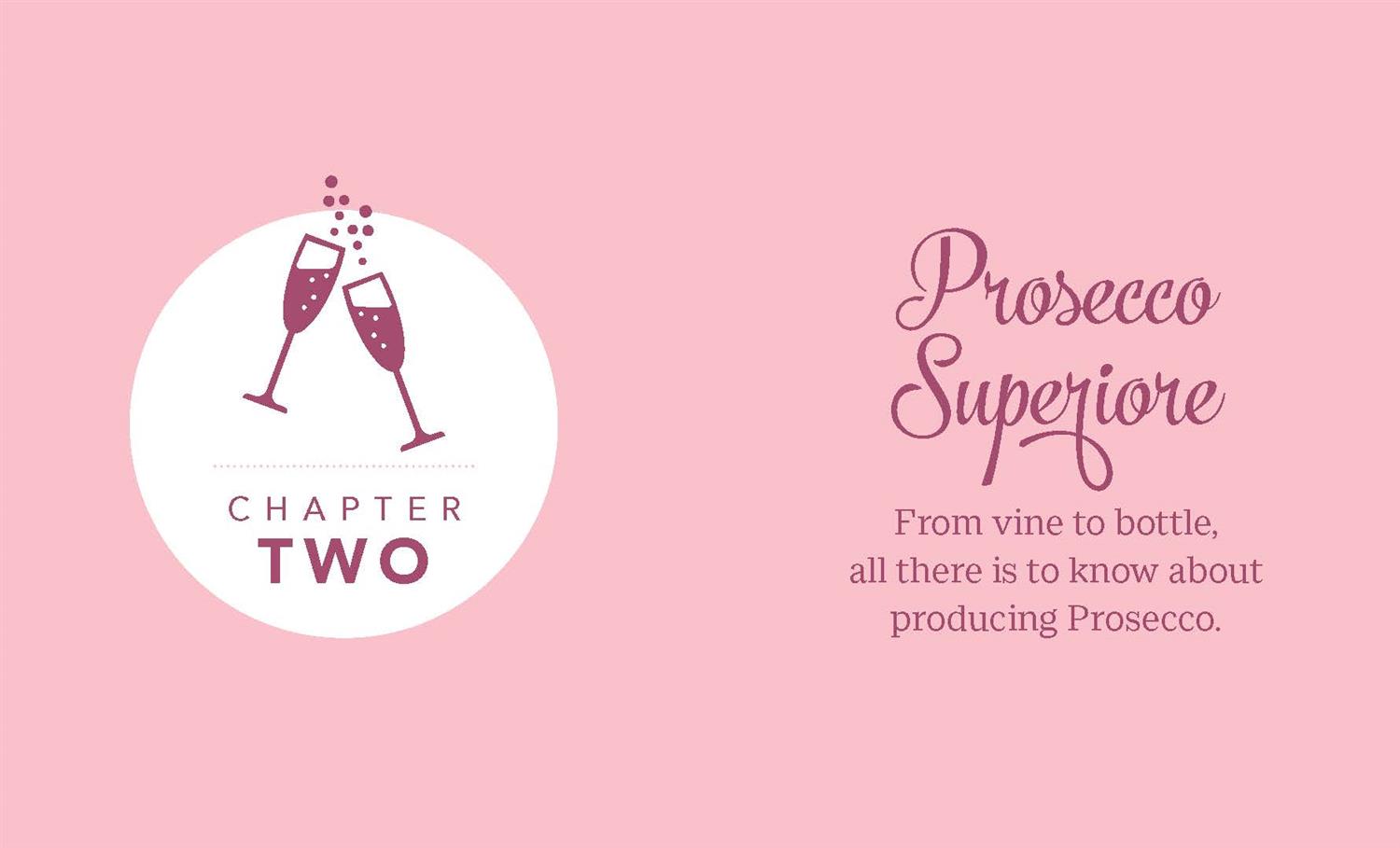 NEW MAGS Little Book of Prosecco