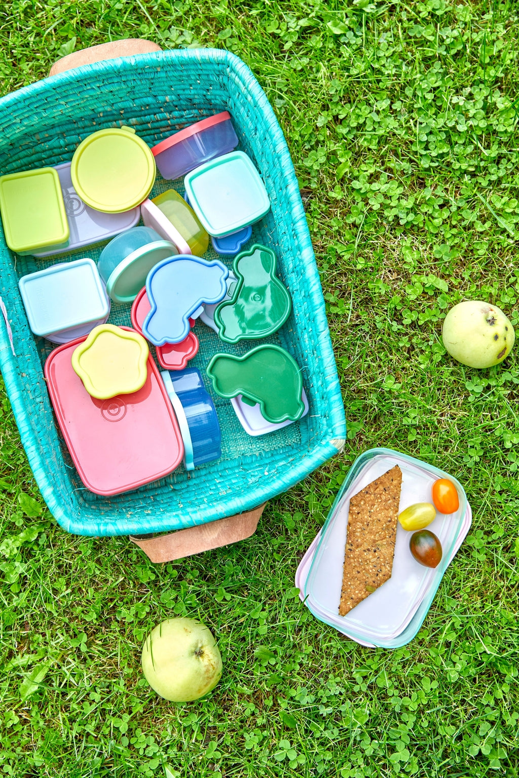 RICE Plastic Food Boxes,Car 8pcs