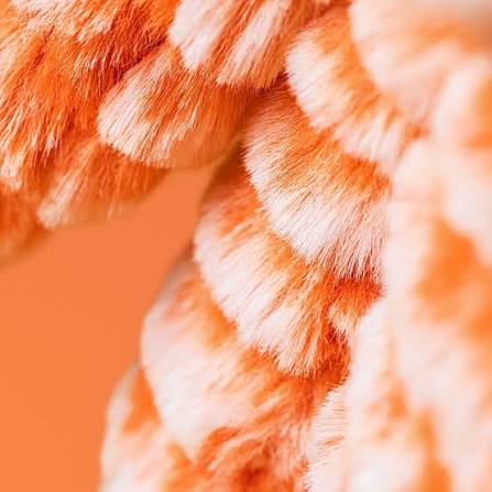 JELLYCAT Fizzleskip Bunny (PRESALE) Orange