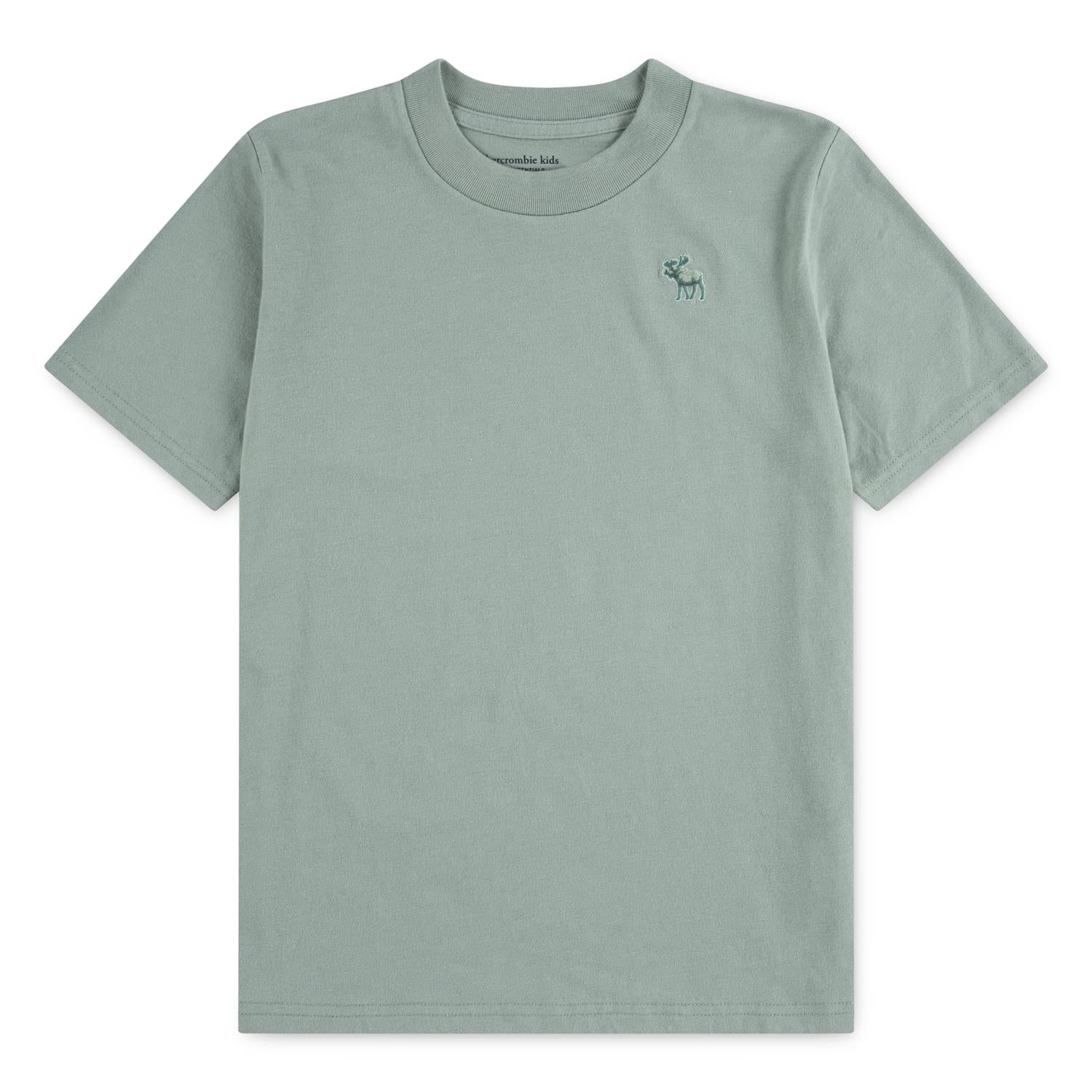 ABERCROMBIE & FITCH T-skjorte Dus Grønn