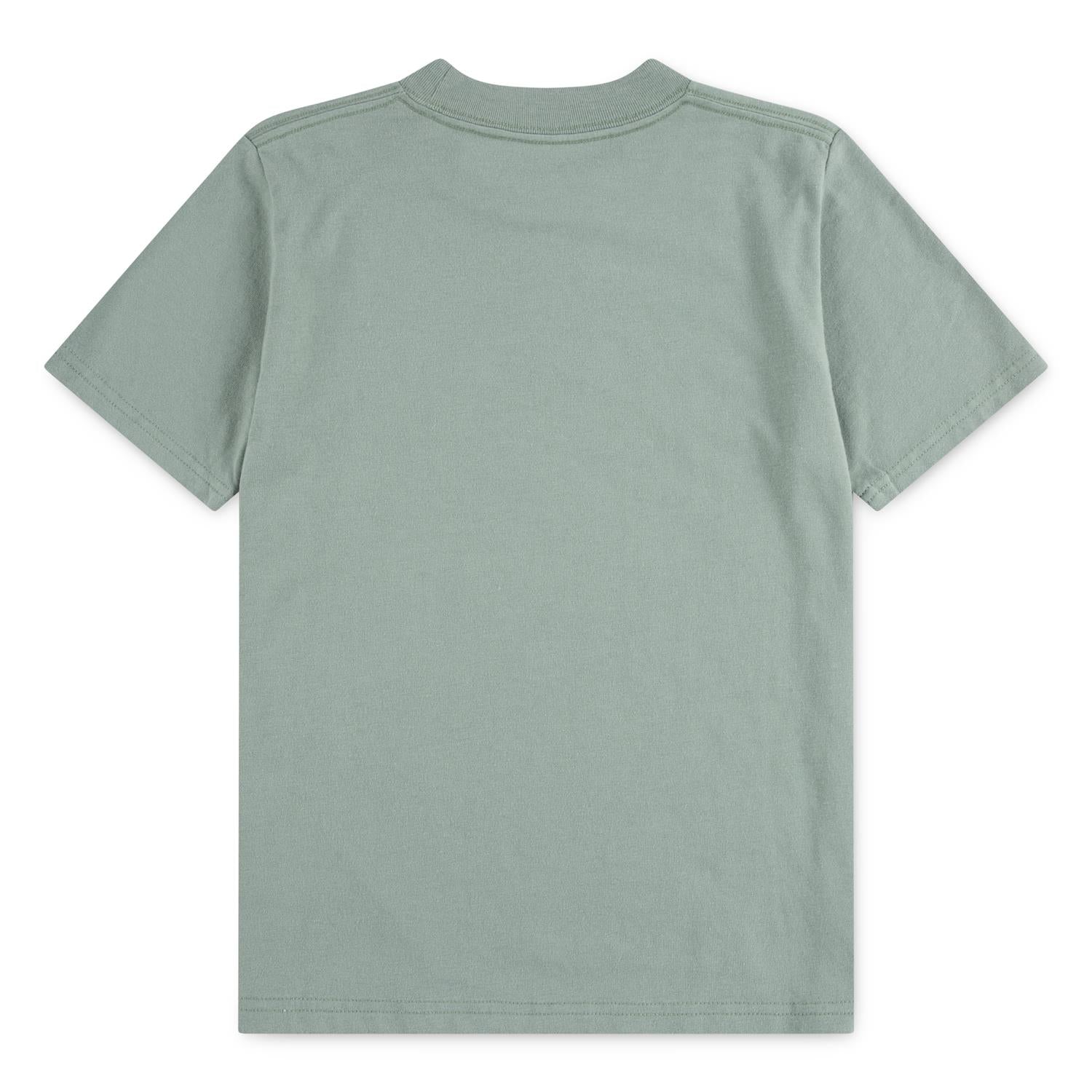ABERCROMBIE & FITCH T-skjorte Dus Grønn