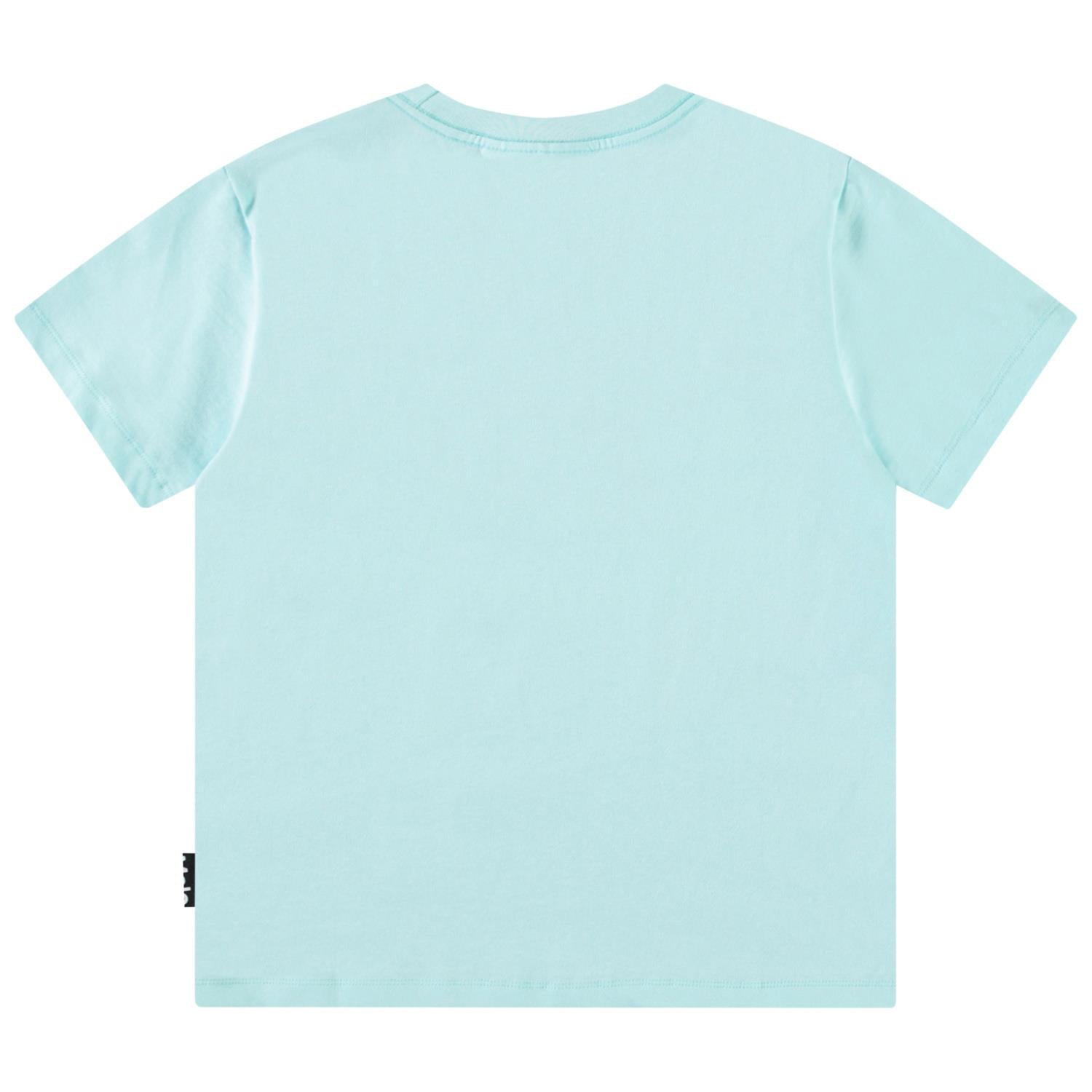 MOLO 4-12ÅR Roxo T-skjorte,Dino Turkis