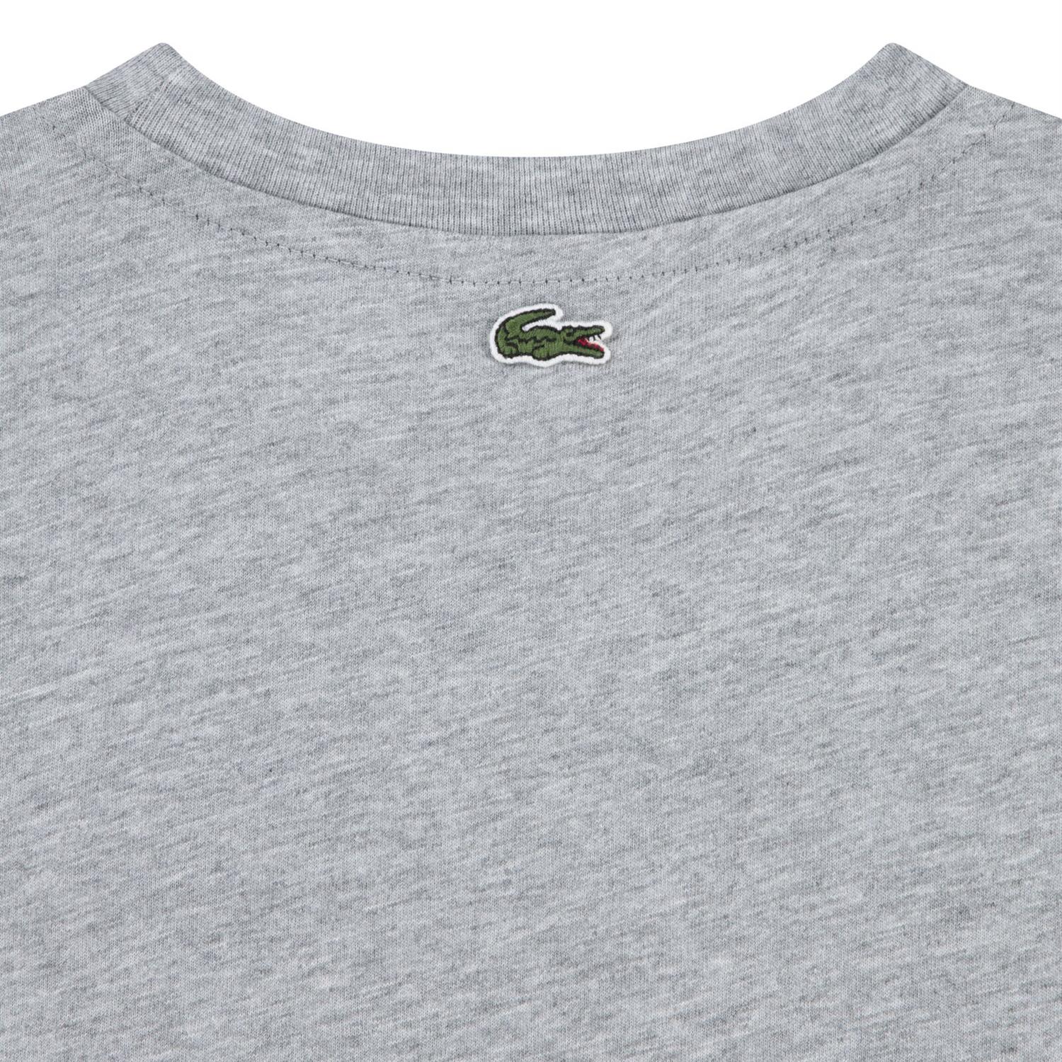 LACOSTE T-skjorte stor logo Grå - Farmor Ingvarda
