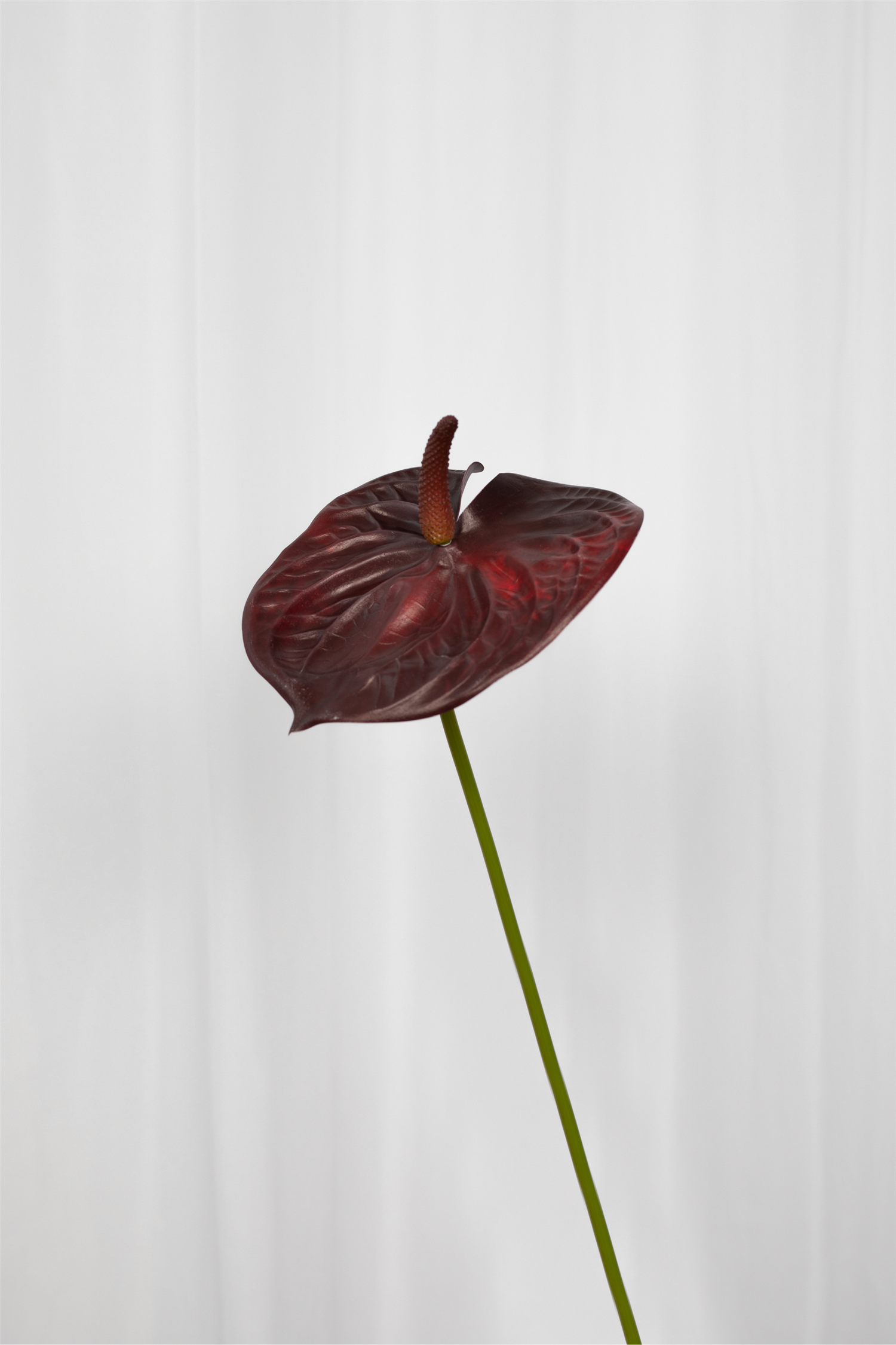 SPECKTRUM Anthurium Burgundy kunstig blomst - Farmor Ingvarda