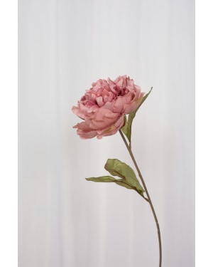 SPECKTRUM Peony Pink kunstig blomst - Farmor Ingvarda