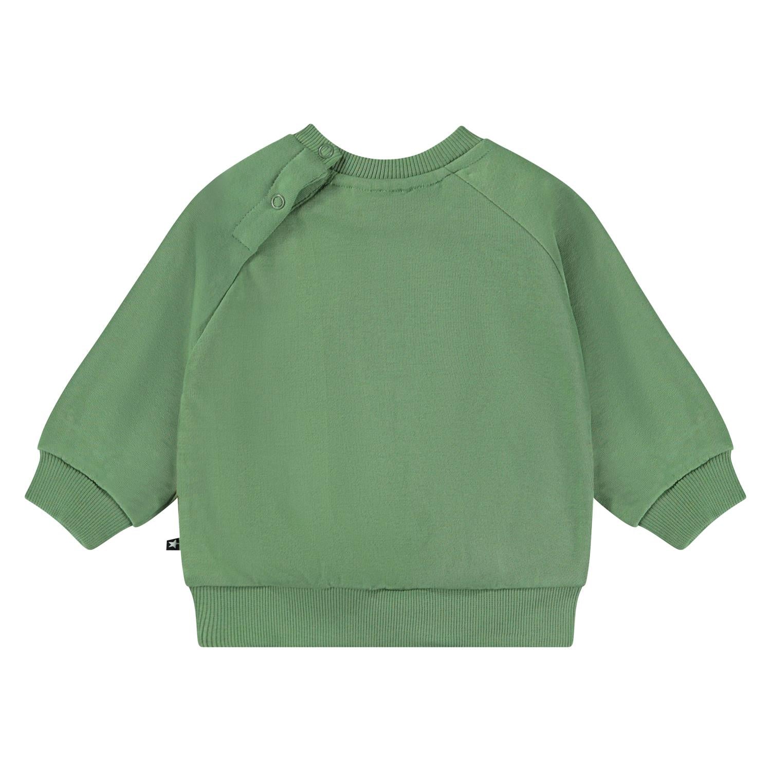 MOLO Disc sweatshirt Grønn